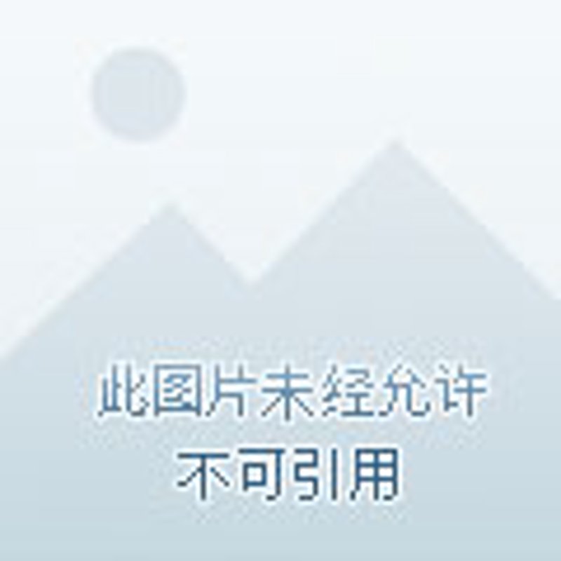 绿化施工