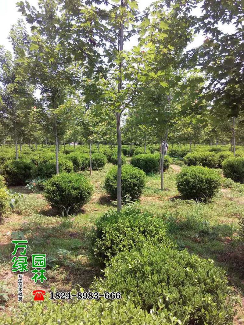 检验检疫技术中心：解读未来发展方向
