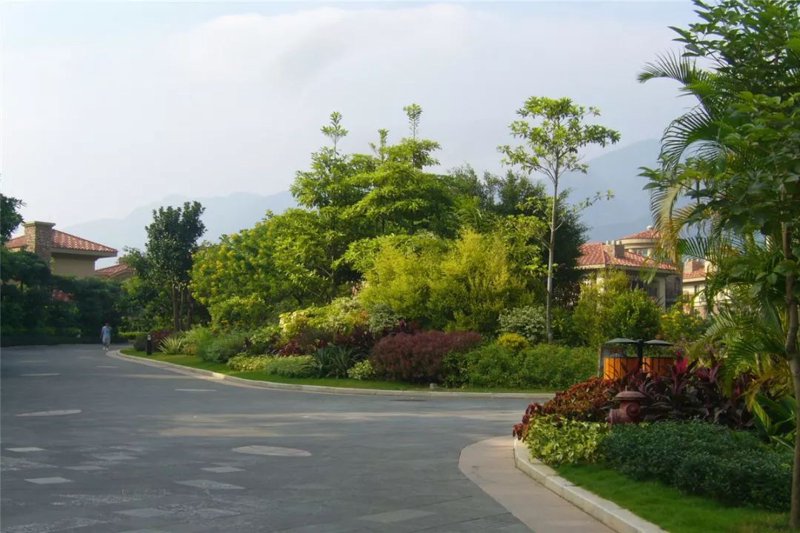 植物造景